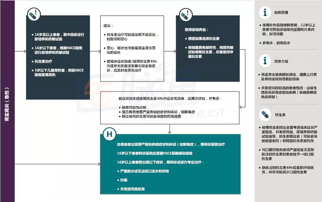 肾盂肾炎用药全攻略,肾盂肾炎药物治疗