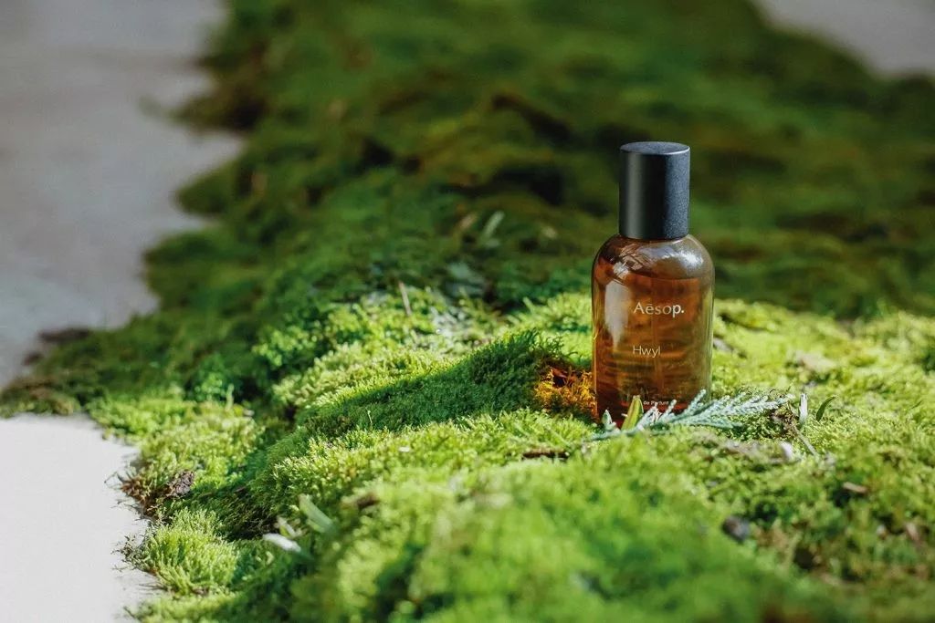 最不建议买的香水,一定要入手的几款香水