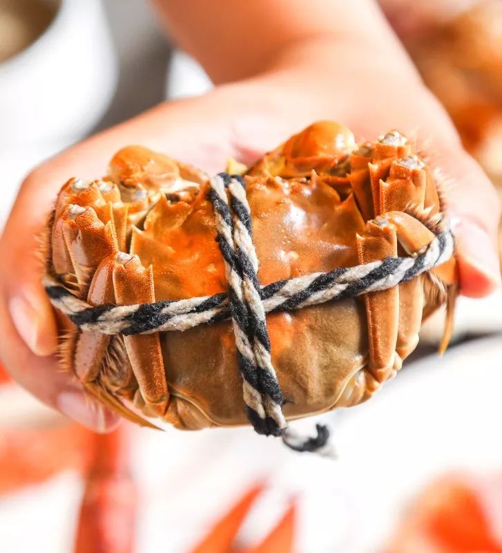 广州酒店大螃蟹帝王蟹,五星级酒店怎么吃大闸蟹