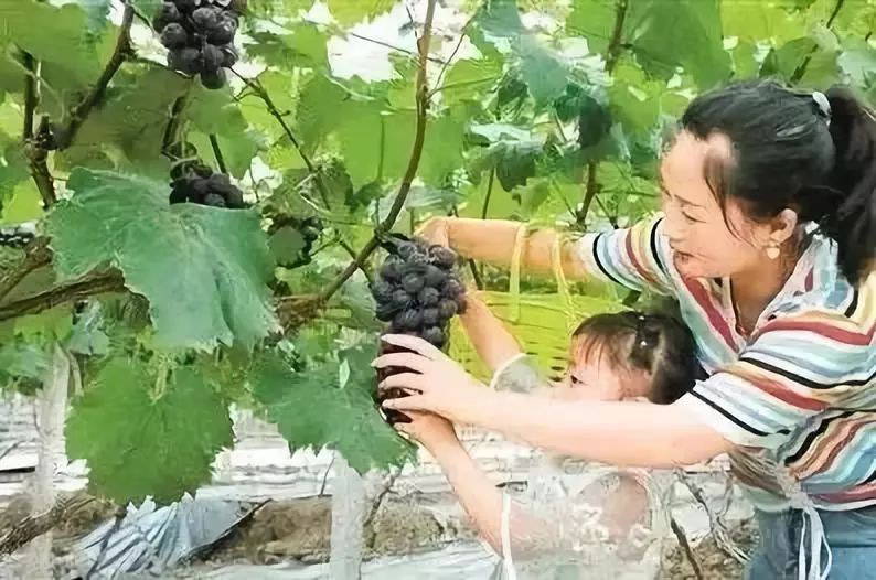 日照中秋游玩,中秋节日照去哪里玩一日游