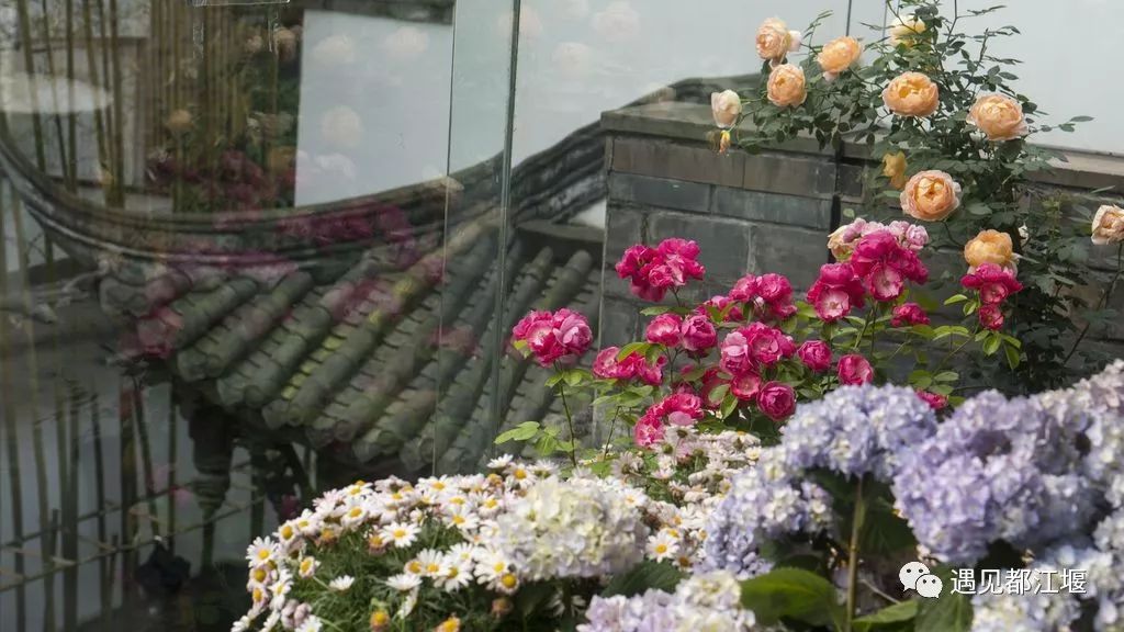 国庆都江堰怎么玩,去都江堰玩啥最好看的攻略图解