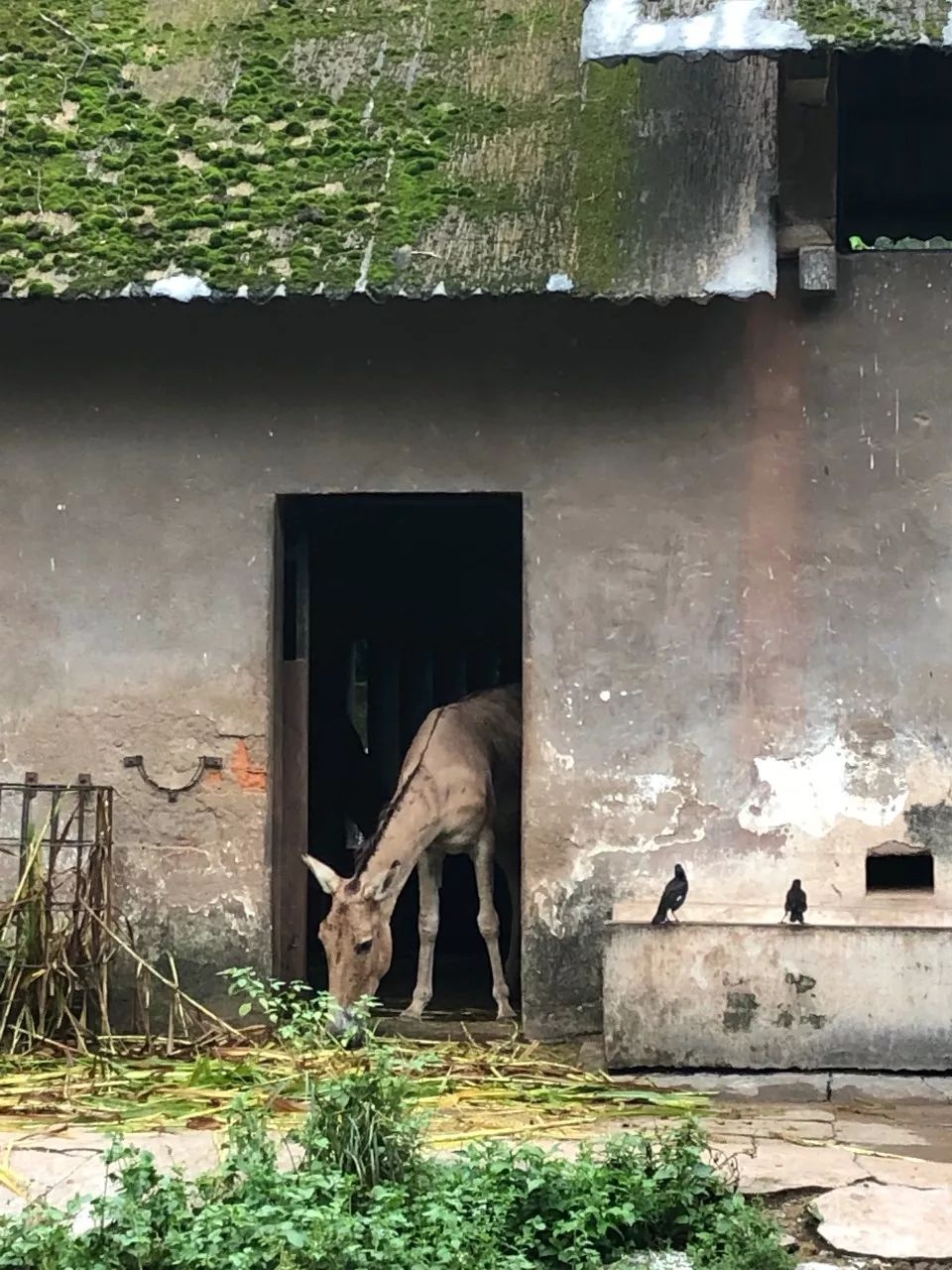 走完全国，这10个动物园我最推荐