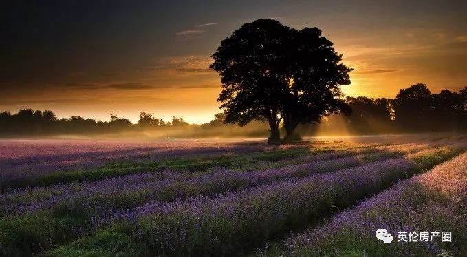 稀缺别墅新品,超优质稀缺别墅推荐