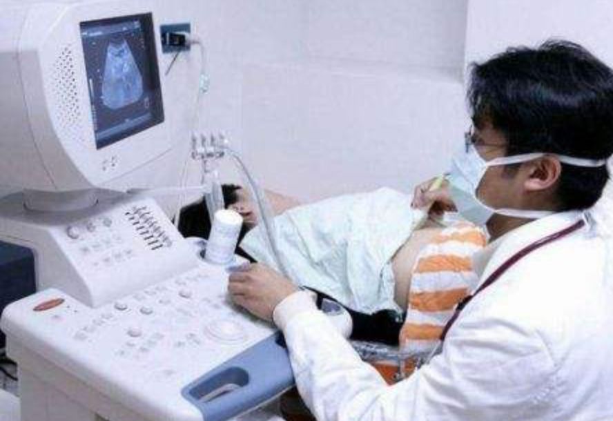 秋天补气血正当时，如何补有讲究！|科普