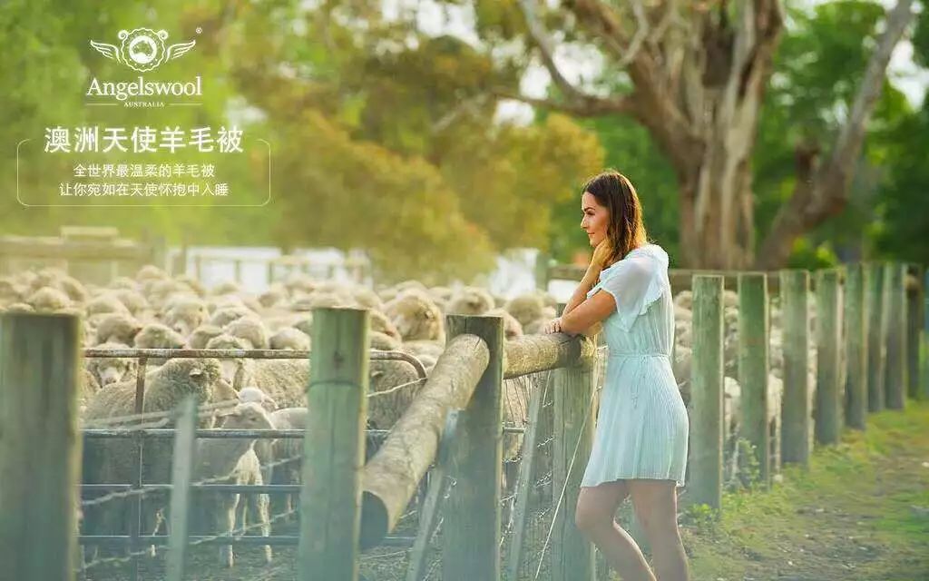 马上！疯狂福利免费送送送！澳中经贸博览年度盛会惊艳墨尔本会展中心！大咖讲座，超级美秀等你来撩⋯