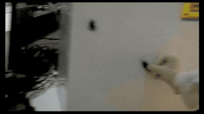 多吃披萨会怎么样,多吃pizza的好处