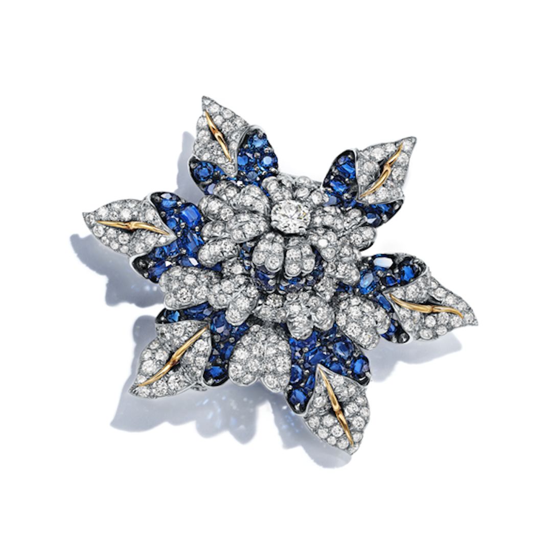 看展之旅,看展之旅开启