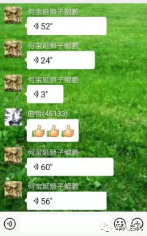 軍史第29讲 | 雾灵山的情怀