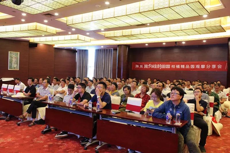 特早蜜桔前景,特早蜜桔一亩多少利润