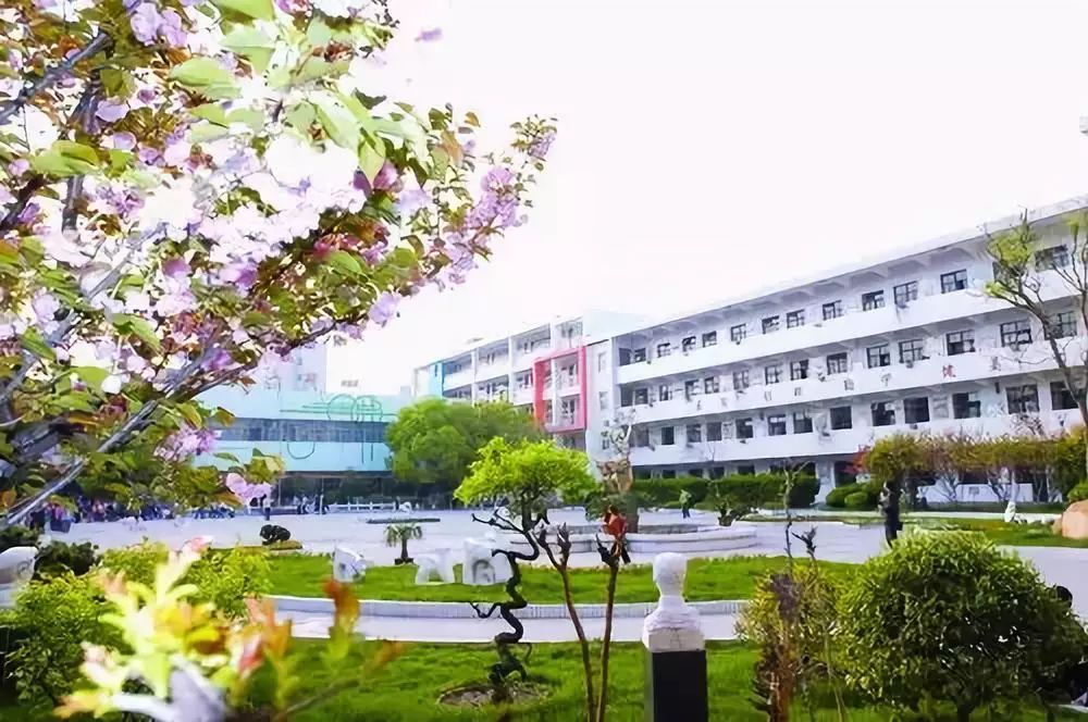 合肥对教育的规划,合肥市教育改革试点