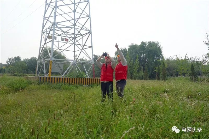 夸奖电力一线职工,表扬电力员工的句子