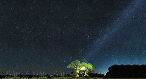 golia歌莉娅女装旗舰店,歌莉娅女装官方旗舰店2022款