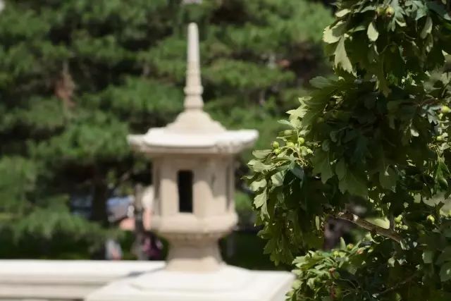 Weneedyou！如果你有梦想，一定要来东北大学校园传媒联盟