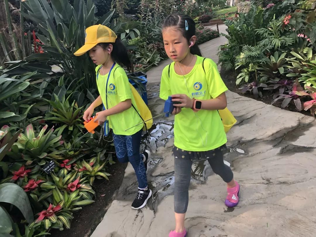 上海辰山植物园国庆节合适去吗,辰山植物园适合五一去吗