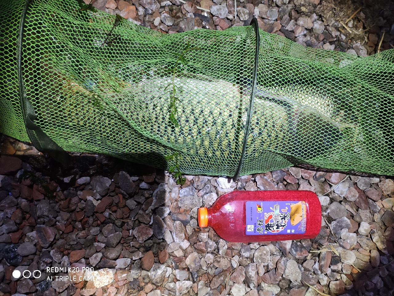 潮白河钓鱼饵料配方,潮白河鱼饵配方