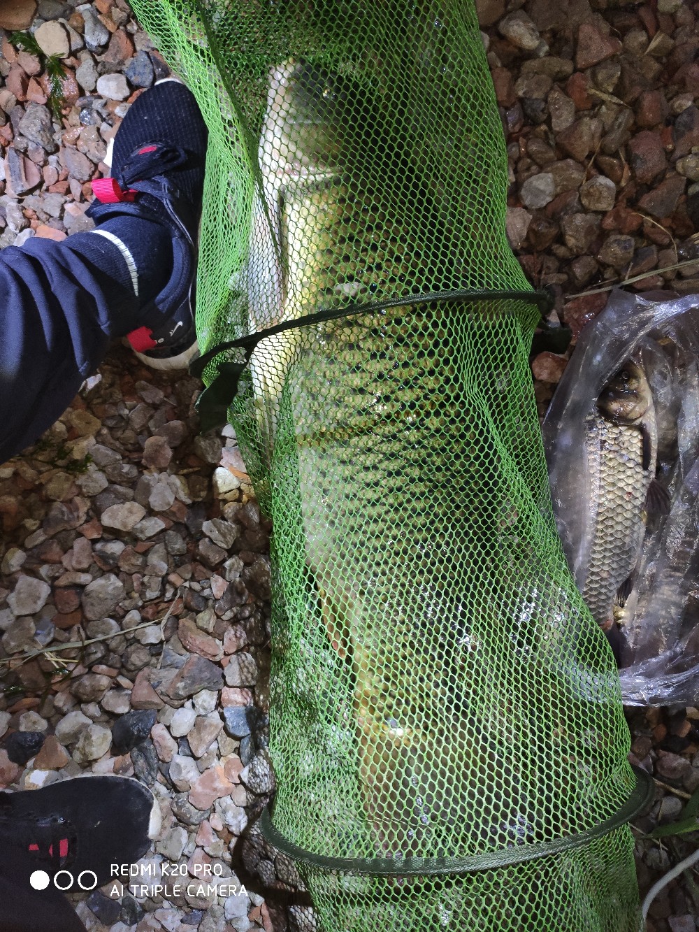 潮白河钓鱼饵料配方,潮白河鱼饵配方