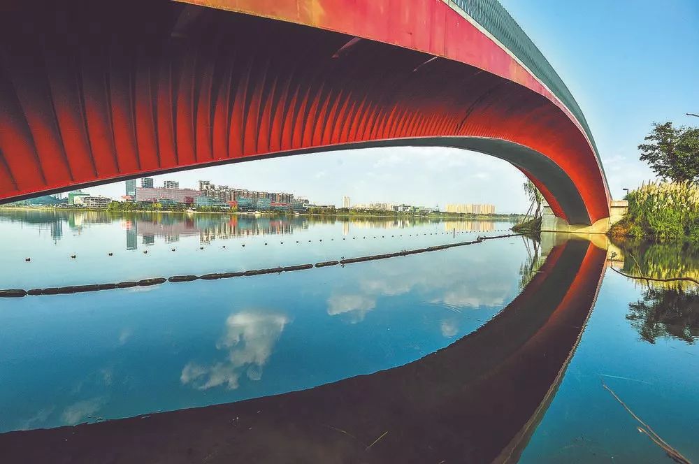 家门口的福利,成都口袋公园