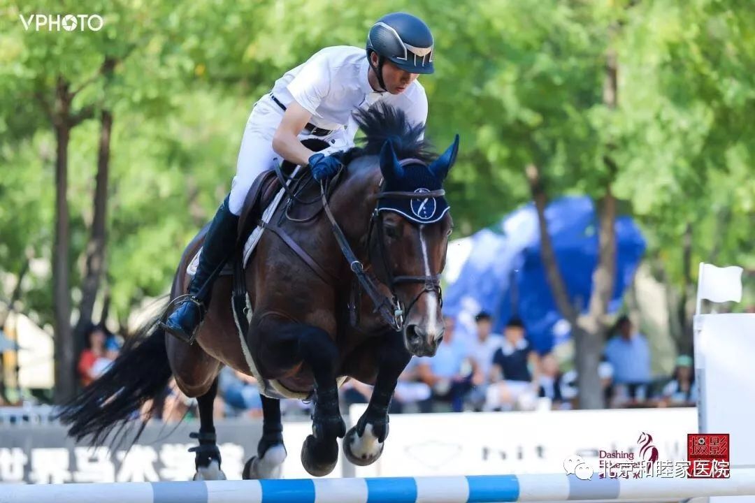 了解马术,科普马术运动