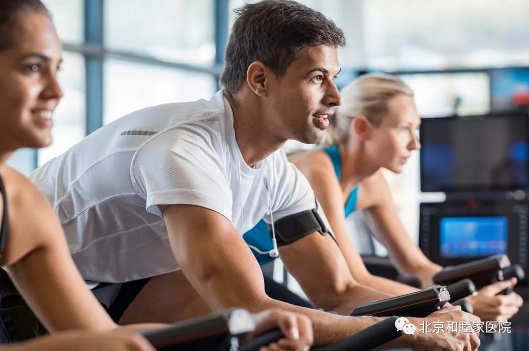 了解马术,科普马术运动