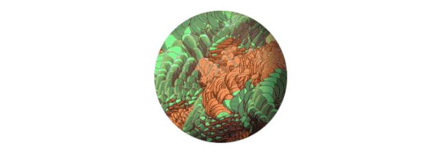 当爱情可以被药物干预