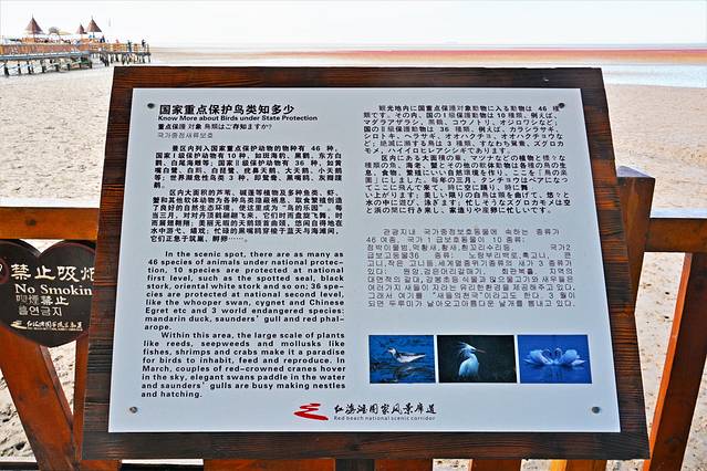 自驾锦州盘锦铁刹山路线,辽宁棋盘山自驾游攻略