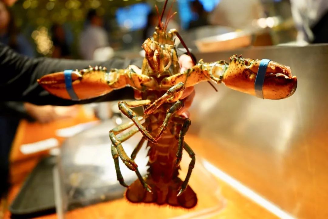 在澳门住的酒店,金沙酒店澳门开业