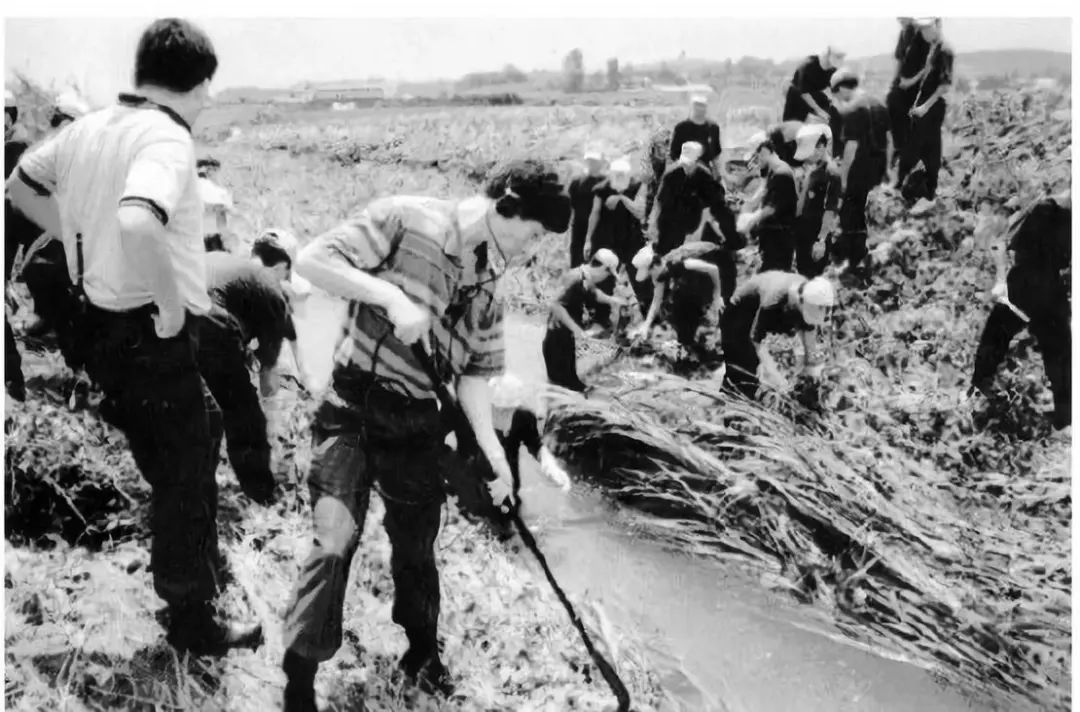 杀人回忆里真凶被抓,杀人回忆的凶手怎么被抓住的