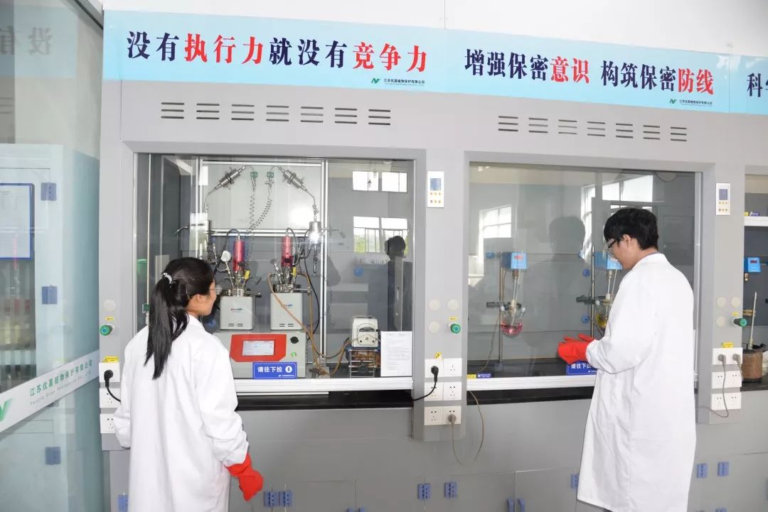 老马的一天600字记叙文骆驼祥子 (老马开心的一天)