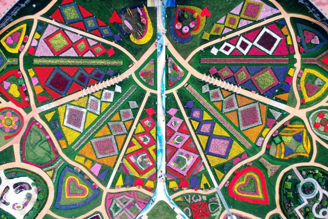 上海浦江郊野奇迹花园春季,上海浦江郊野公园奇迹花园10月