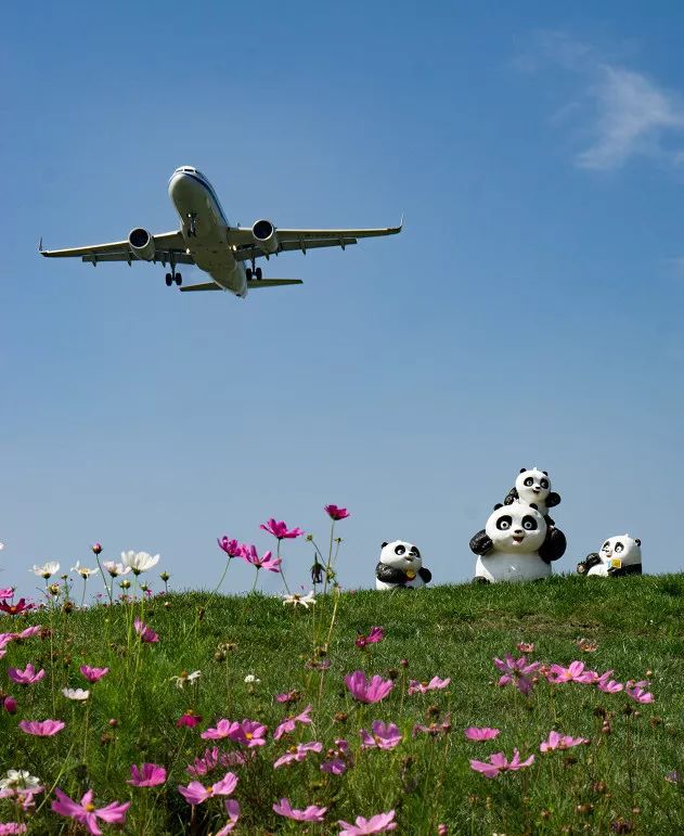 成都双流区旅游省钱攻略推荐,五一在双流适合去哪旅游