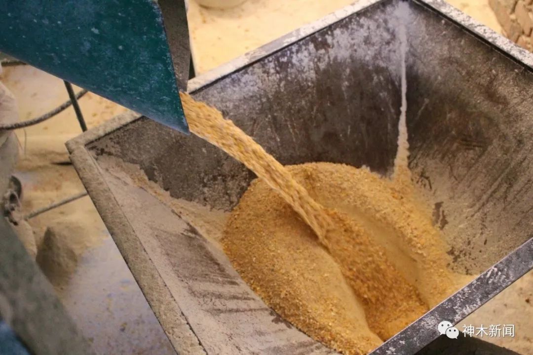 【奋斗者】锦界农民李明义养鸡致富惠乡邻