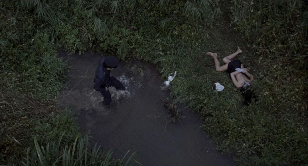 杀人回忆凶手原型是电影里哪个人,杀人回忆的真正凶手结局