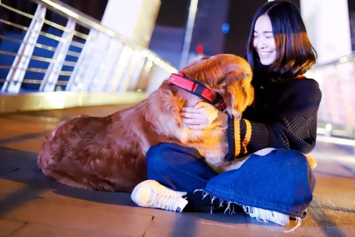 越青是什么星座,白桥是什么星座