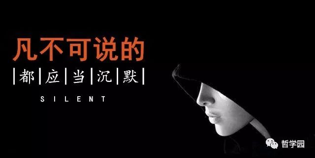 维特根斯坦最终的哲学结论,维特根斯坦一生经历