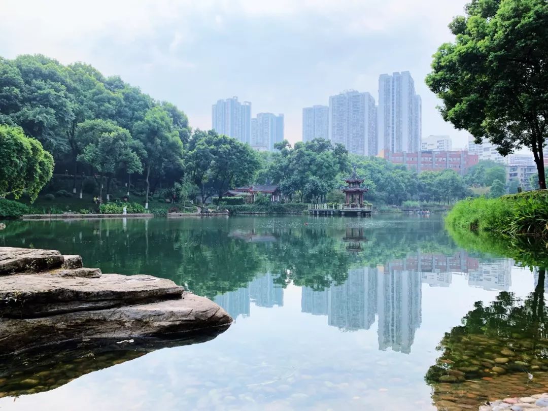 沙坪坝有哪些免费公园,沙坪坝公园推荐