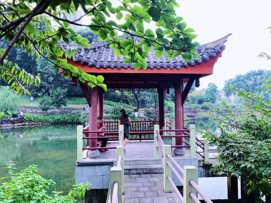 沙坪坝有哪些免费公园,沙坪坝公园推荐