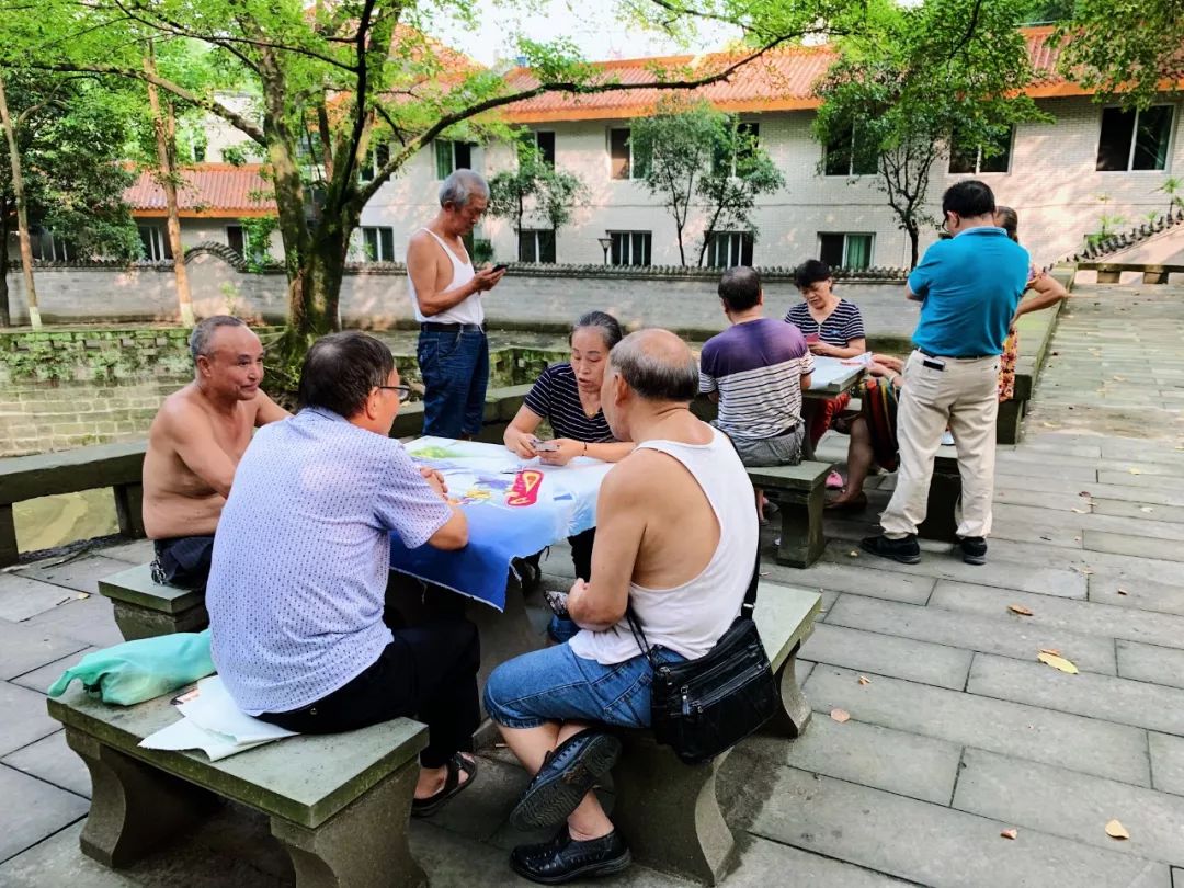 沙坪坝有哪些免费公园,沙坪坝公园推荐