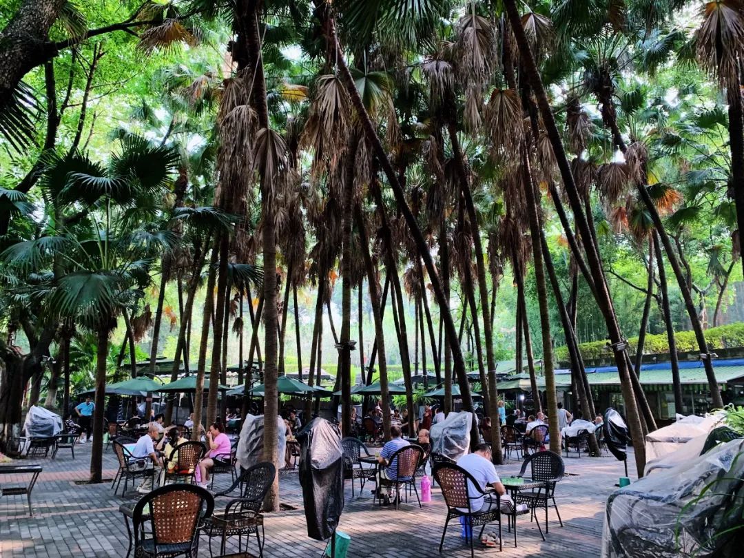 沙坪坝有哪些免费公园,沙坪坝公园推荐