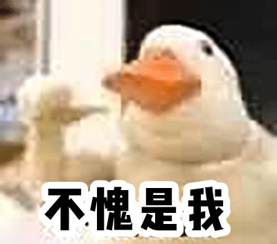 今天，我们的讨论和颜值有关，特别高的那种