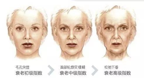 悦己好物优选,悦己生活好物