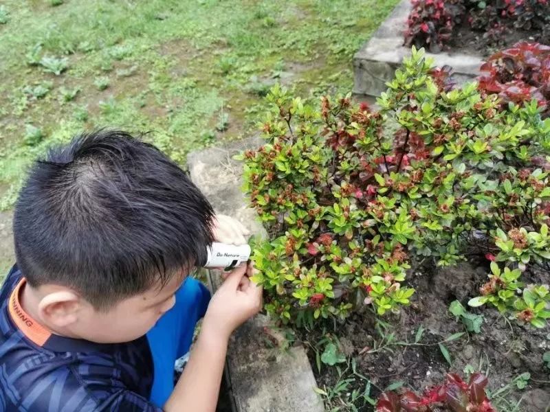 可以放大60倍的微小显微镜,显微镜最大可以放大5000倍