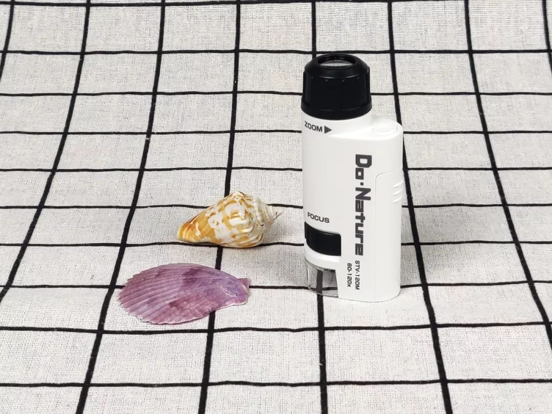 可以放大60倍的微小显微镜,显微镜最大可以放大5000倍