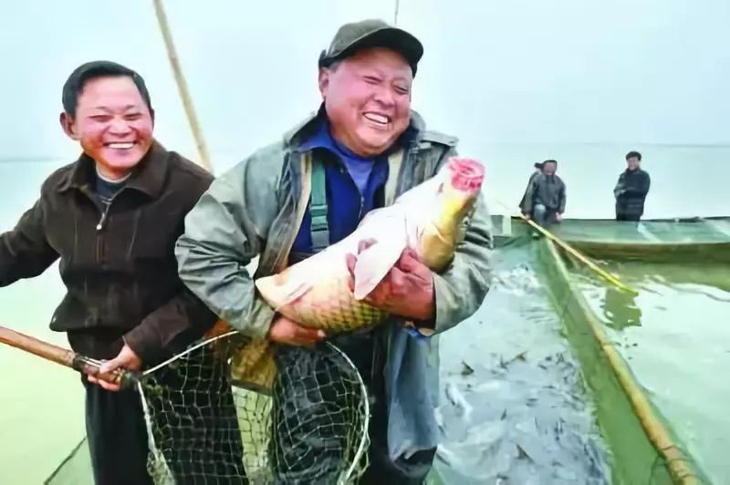 最新乌海公交车线路,乌海公交线路调整最新