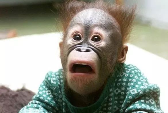 老王=直男，你笑了吗？