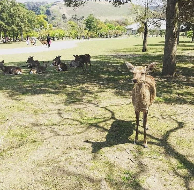 说好不哭6分钟mv,说好不哭日本打卡