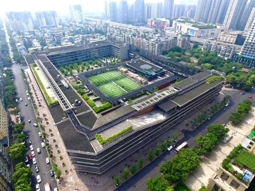 当年那位写出《中国足球最需要普通人》的普通人，后来去哪了？