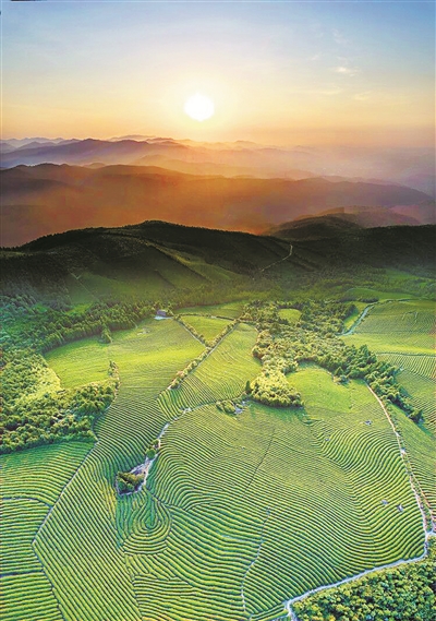 东钱湖文旅时尚小镇,东钱湖规划大型商业综合体