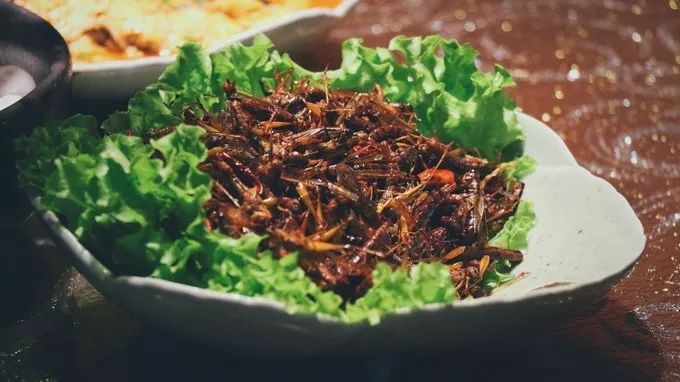 陈晓卿的美食推荐地 (陈晓卿最好吃的美食)