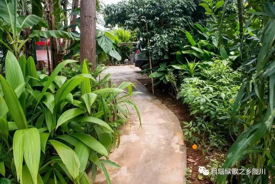 陈晓卿的美食推荐地 (陈晓卿最好吃的美食)