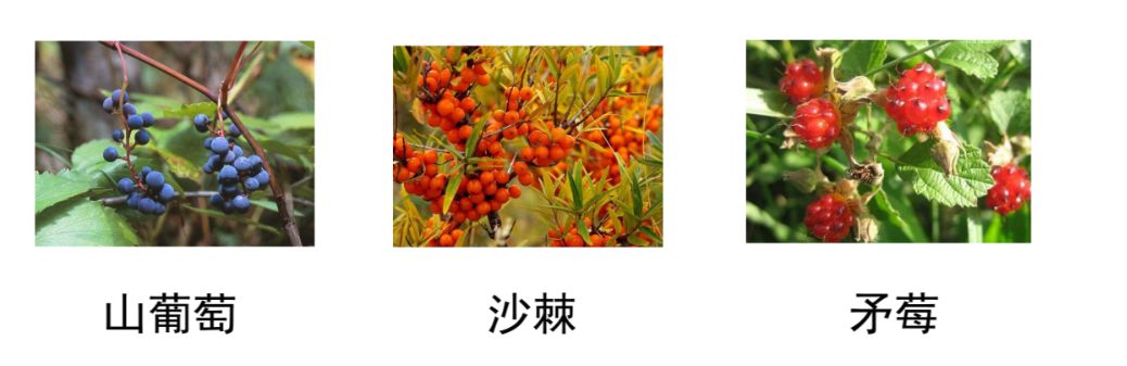 兵哥哥教你防身术,兵哥哥教你归纳小妙招